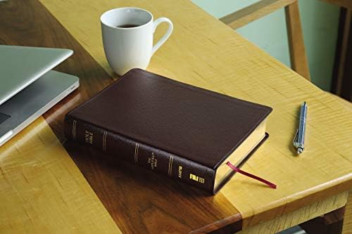 Amplified Holy Bible, Large Print, Bonded Leather, Burgundy: Captures the Full Meaning Behind the Original Greek and Hebrew by Zondervan