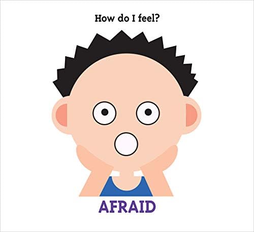 Mood Flip Book - Help Kids to Identify and Manage Their Emotions by Peter Pauper Press