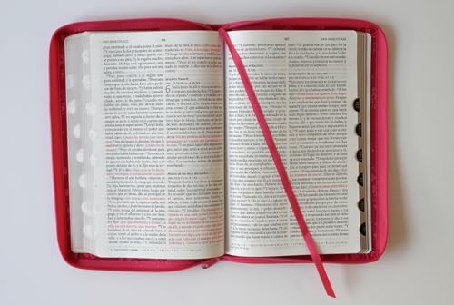 Biblia Reina Valera 1960 letra grande. Símil piel fucsia, cremallera, índice, manual / Spanish Bible RVR 1960. Handy Size, Large Print, Leathersoft (Spanish Edition) by Reina Valera Revisada 1960