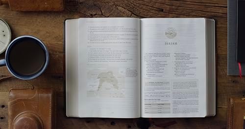 ESV Men's Study Bible (TruTone, Forest/Tan, Trail Design): Holy Bible, English Standard Version by ESV Bibles