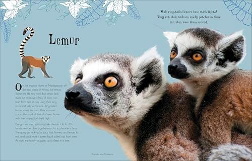 An Anthology of Intriguing Animals: Discover the Fascinating Truths of the Animal Kingdom by DK