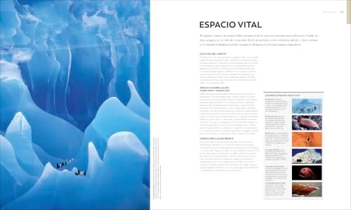 Vida salvaje: Una enciclopedia del mundo animal (Animal Behavior): Historias de instinto, inteligencia y adaptación (DK Definitive Visual Encyclopedias) (Spanish Edition) by DK