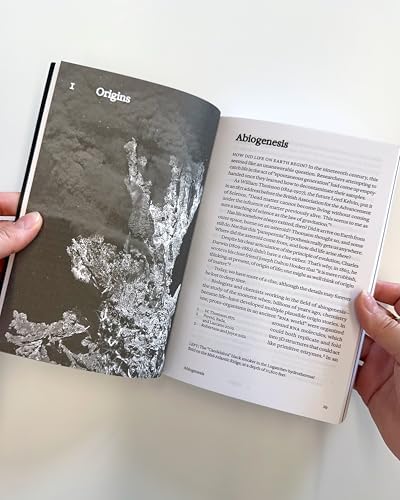What Is Intelligence?: Lessons from AI About Evolution, Computing, and Minds (Antikythera) by Blaise Aguera y Arcas