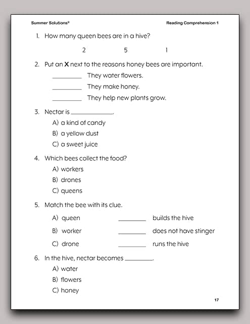Summer Solutions Reading Comprehension Level 1 by SUMMER SOLUTIONS. MINUTES A DAY - MASTERY FOR A LIFETIME!