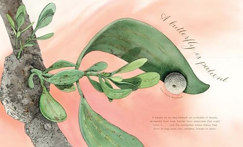 A Butterfly Is Patient: (Nature Books for Kids, Children's Books Ages 3-5, Award Winning Children's Books) (Sylvia Long) by Dianna Hutts Aston