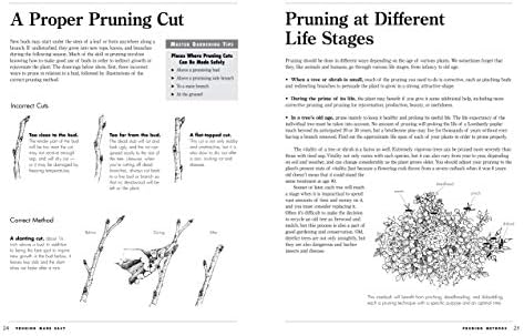 Pruning Made Easy: A Gardener's Visual Guide to When and How to Prune Everything, from Flowers to Trees (Storey's Gardening Skills Illustrated Series) by Lewis Hill