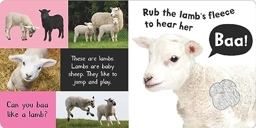 Noisy Farm: Includes 6 Sounds and an On/Off Switch on the Back Cover! (My First) by Tiger Tales