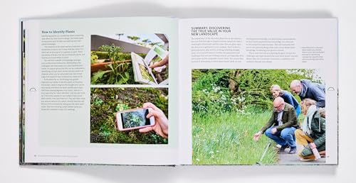 The Modern Professional Planting Designer by Andrew Fisher Tomlin
