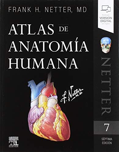 Atlas de anatomía humana (7ª ed.) by Frank H. Netter