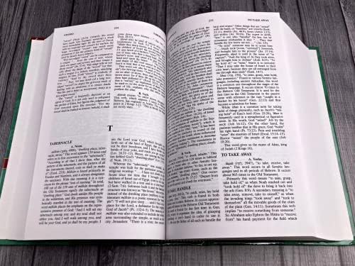 Vine's Complete Expository Dictionary of Old and New Testament Words: Super Value Edition by W. E. Vine