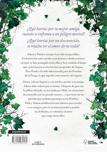 Powerful. Una historia de Powerless. El fenómeno romantasy que arrasa en TikTok (Saga Powerless 1.5) by Lauren Roberts