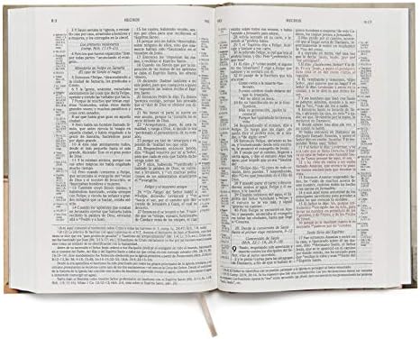 RVR 1960 Biblia de estudio Scofield, tapa dura (Spanish Edition) by B&H Español Editorial Staff