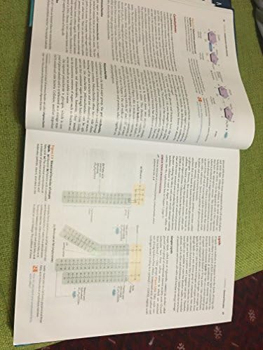 Microbiology: An Introduction by Gerard Tortora