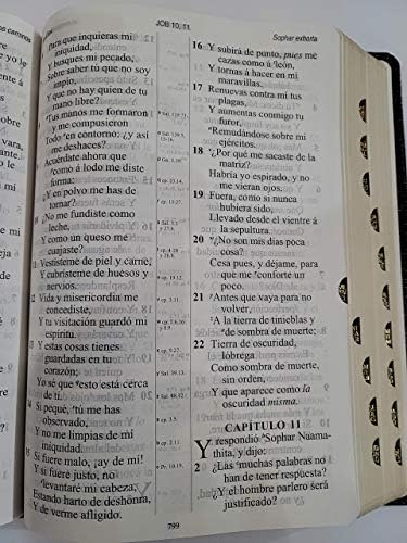 Santa Biblia Version Antigua 1909 Letra Gigante Piel Negra Con Indice by Reina Valera 1909