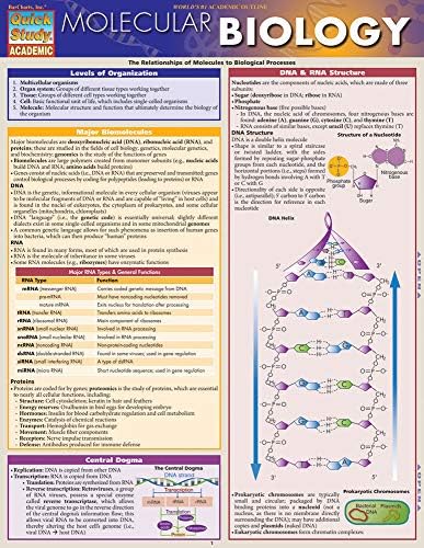 Molecular Biology: a QuickStudy Laminated Reference Guide by Randy Brooks PhD