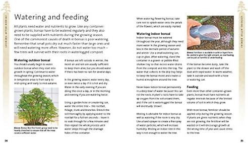 The Bonsai Beginner's Bible by Peter Chan