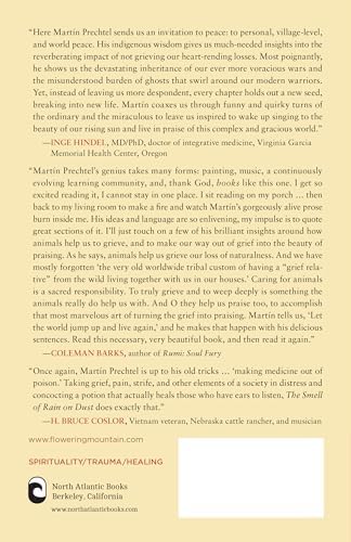 The Smell of Rain on Dust: Grief and Praise by Martín Prechtel