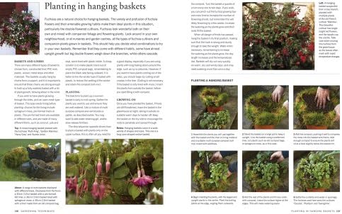 How to Propagate 375 Plants: A Practical Guide to Propagating Your Own Flowers, Foliage Plants, Trees, Shrubs, Climbers, Wet-Loving Plants, Bog and Water Plants, Vegetables and Herbs by Richard Rosenfeld