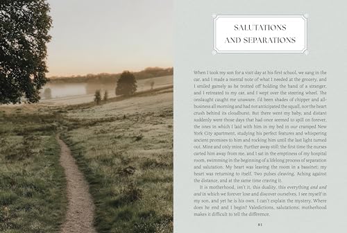 Small Wonders: A Field Guide to Life's Quiet Joys by Jennifer Shoop