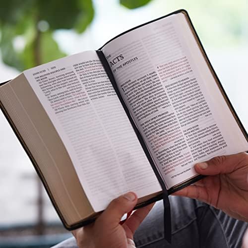 NKJV, End-of-Verse Reference Bible, Personal Size Large Print, Premium Goatskin Leather, Brown, Premier Collection, Red Letter, Comfort Print: Holy Bible, New King James Version by Thomas Nelson