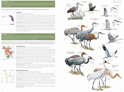 National Geographic Field Guide to the Birds of the United States and Canada, 8th edition by Ted Floyd