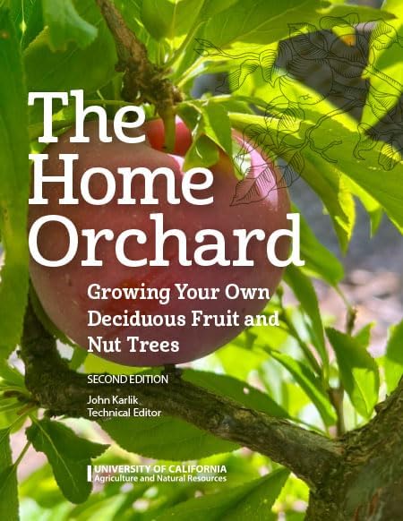 Home Orchard: Growing your own deciduous fruit and nut trees by Maxwell Norton