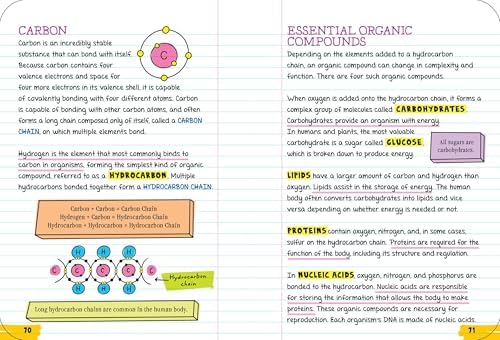 Everything You Need to Ace Biology in One Big Fat Notebook by Workman Publishing