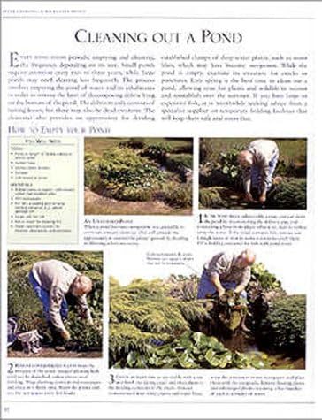 The American Horticultural Society Complete Guide to Water Gardening by Peter Robinson