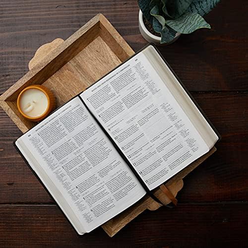 NABRE, New American Bible, Revised Edition, Catholic Bible, Large Print Edition, Leathersoft, Brown, Comfort Print: Holy Bible by Catholic Bible Press