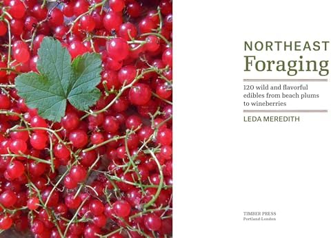 Northeast Foraging: 120 Wild and Flavorful Edibles from Beach Plums to Wineberries (Regional Foraging Series) by Leda Meredith