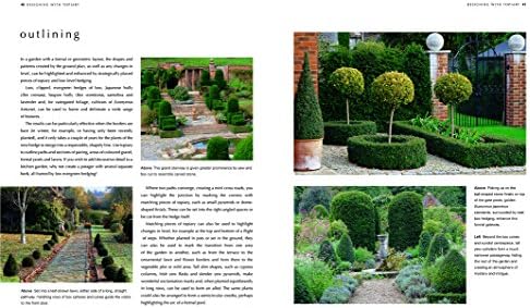 A Gardener's Guide to Topiary: The Art Of Clipping, Training And Shaping Plants by Jenny Hendy