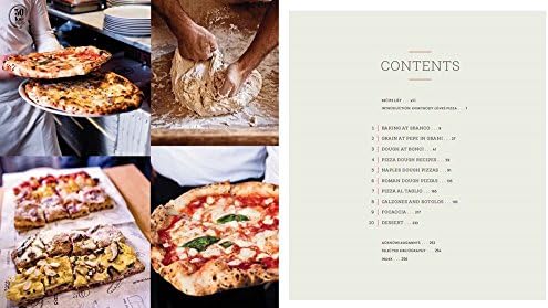 Mastering Pizza: The Art and Practice of Handmade Pizza, Focaccia, and Calzone [A Cookbook] by Marc Vetri