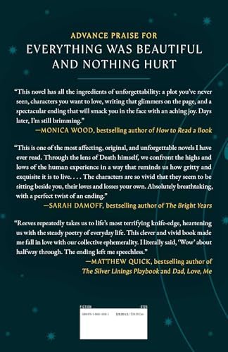 Everything Was Beautiful and Nothing Hurt: A Novel by Ben Reeves