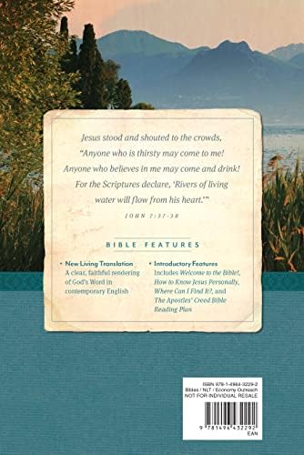 NLT Economy Outreach Bible, Large Print by New Living Translation