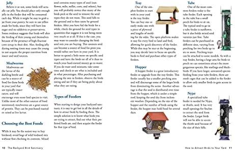 The Backyard Bird Sanctuary: A Beginner's Guide to Creating a Wild Bird Habitat at Home by Alan Baczkiewicz