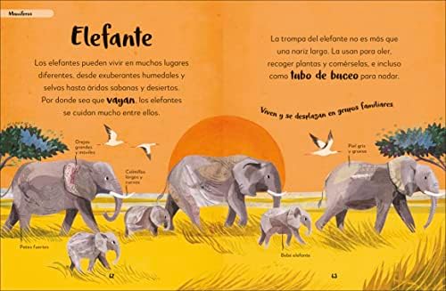 Mi primer libro de animales (The Bedtime Book of Animals): Todo lo que quieres saber de tus animales preferidos (Spanish Edition) by DK