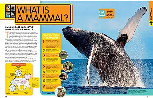 National Geographic Kids Animal Encyclopedia, 2nd Edition: 2,500 Animals with Photos, Maps, and More! (NGK Encyclopedias) by National Geographic
