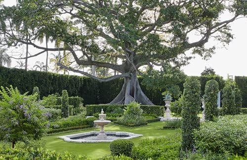 The Young Man and the Tree: Fernando Wong Landscape Design―Explore the stunning private tropical gardens created by award-winning landscape designer Fernando Wong by Tim Johnson