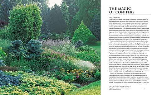 Gardening with Conifers by Adrian Bloom