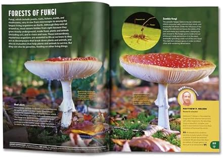 Britannica All New Kids' Encyclopedia: Updated Edition - What We Know & What We Don't by Britannica Group
