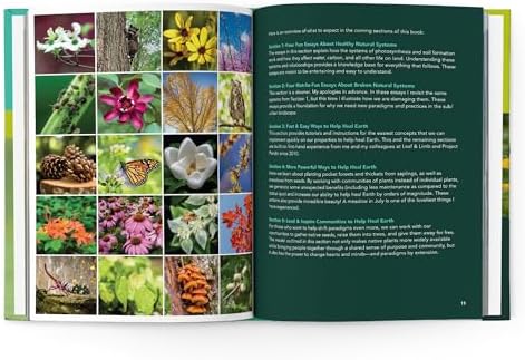 From Wasteland to Wonder: Easy Ways We Can Help Heal Earth in the Sub/Urban Landscape by Basil Camu