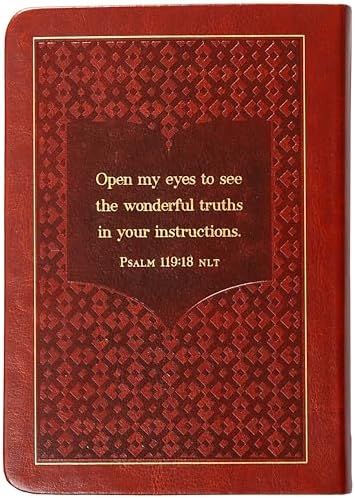 The Bible Reading Plan Devotional for Men: 365 Daily Meditations by Ken Castor