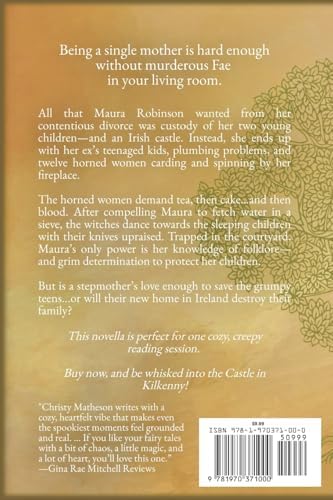 The Horned Women: A Contemporary retelling of an Irish fairy tale (The Castle in Kilkenny: Fairy Tales) by Christy Matheson