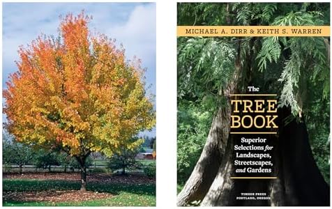 The Tree Book: Superior Selections for Landscapes, Streetscapes, and Gardens by Michael A. Dirr