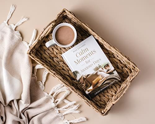 Calm Moments for Anxious Days: A 90-Day Devotional Journey (90 Daily Devotions, with Journal Prompts, to Promote Wellness and Peace and Decrease Worry and Stress) by Max Lucado