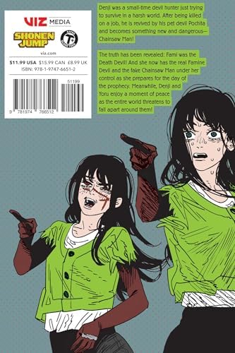 Chainsaw Man, Vol. 22 by Tatsuki Fujimoto