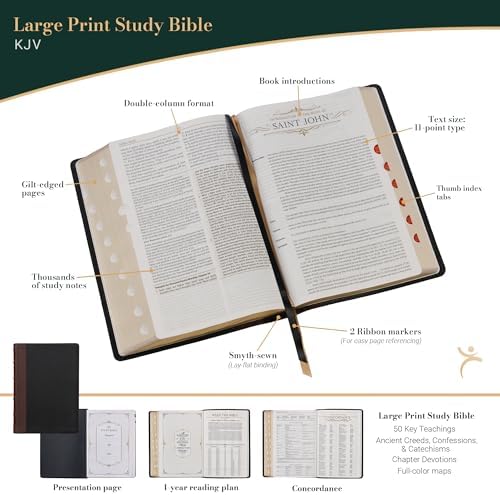 KJV Study Bible, Large Print King James Version Holy Bible, Thumb Tabs, Ribbons, Premium Full Grain Leather Black/Burgundy Debossed (KJV Study Editions LP) by Christian Art Publishers