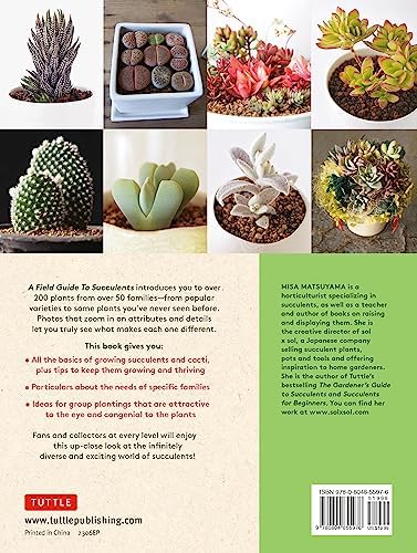 A Field Guide to Succulents: Colors, Shapes and Characteristics for Over 200 Amazing Varieties by Misa Matsuyama