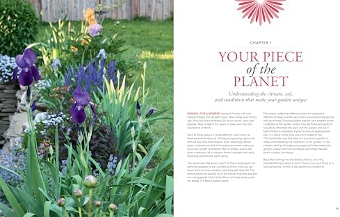 Essential Guide to Perennial Gardening: Techniques and Know-How for Planning, Planting, and Tending Low-Maintenance Perennial Plantings (American Horticultural Society) by American Horticultural Society
