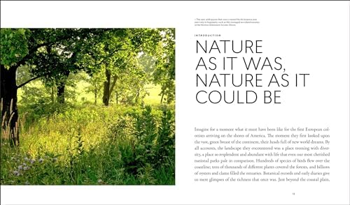 Planting in a Post-Wild World: Designing Plant Communities for Resilient Landscapes by Thomas Rainer